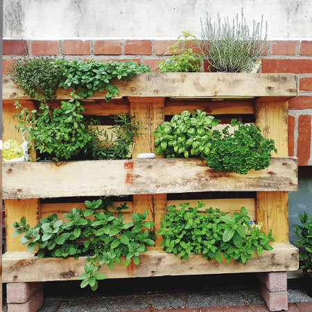 bas_vertkalerkraeutergarten.jpg